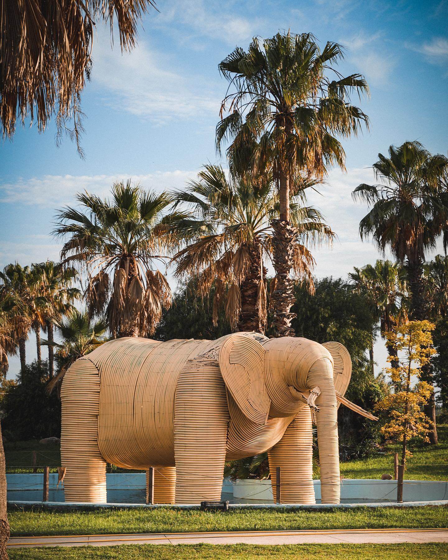Elephant Park